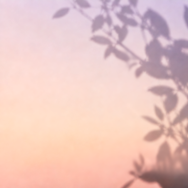 Layer 1 of the 4-layer example on a transparent background: Background with leaf shadows