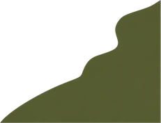 Layer: Bottom-right land plot