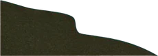 Layer: Bottom-left shore land